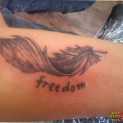 קעקוע של נוצה עם המילה freedom על הזרוע