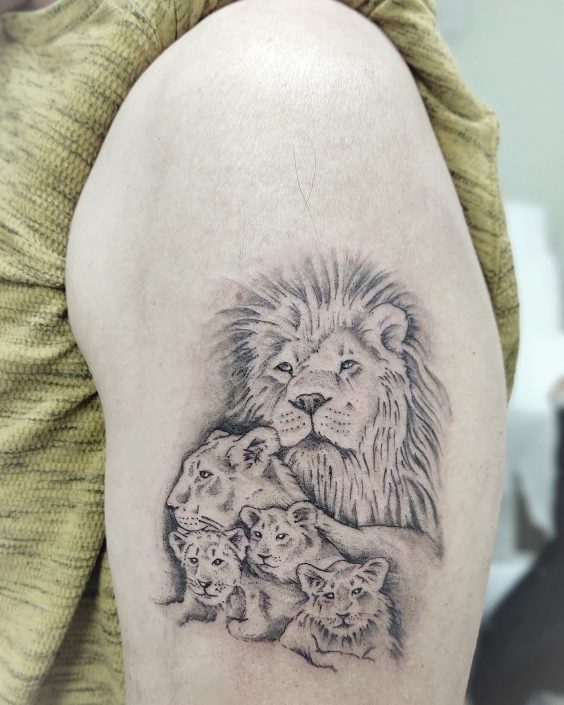 משפחה של אריות